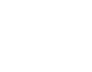 Hollyland