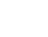 Hollyland