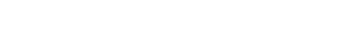 Nanlite