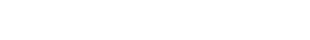 Nanlite
